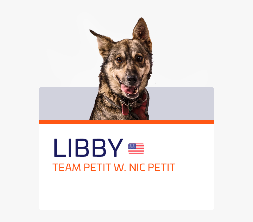 Libby - Dog Catches Something, HD Png Download