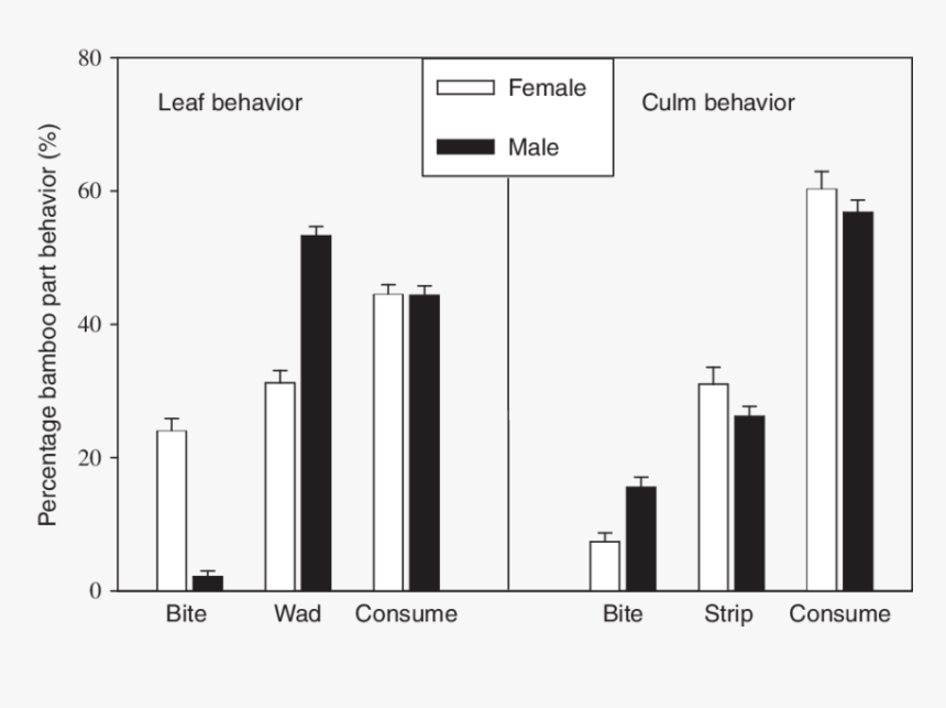 Graph Of How Much Pandas Eat Bamboo, HD Png Download , Transparent Png