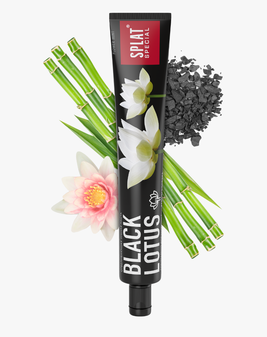 Splat, HD Png Download