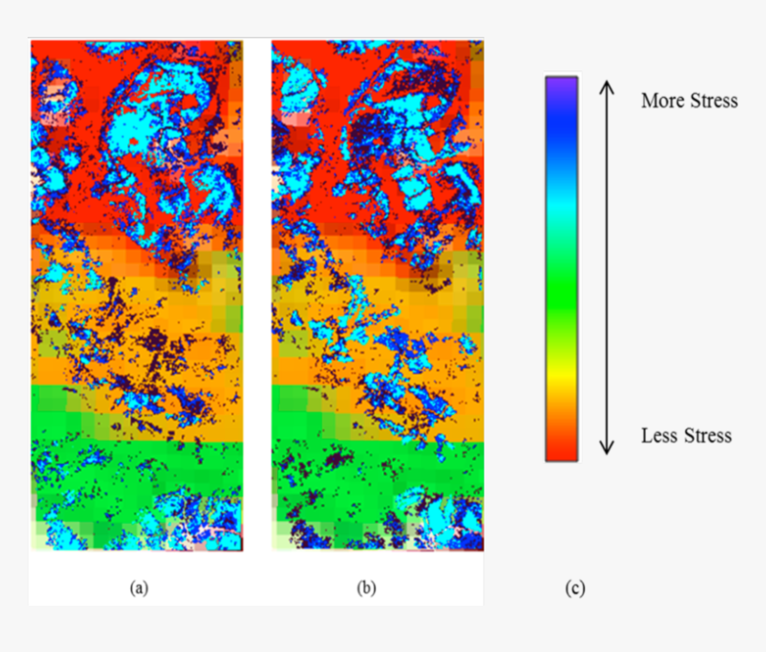 Visual Arts, HD Png Download