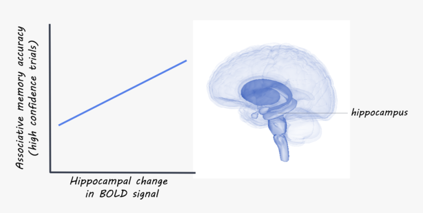 Hippo1800 - Sketch, HD Png Download
