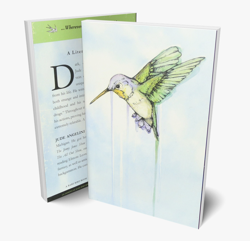 Hummingbird Jude Angelini, HD Png Download
