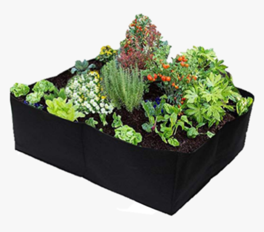 Growth Bag Plant, HD Png Download