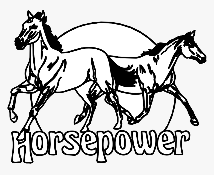 Transparent Running Horse Clipart - Horsepower Clipart, HD Png Download