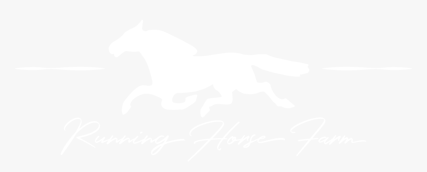 Running Horse Farm - Jhu Logo White, HD Png Download