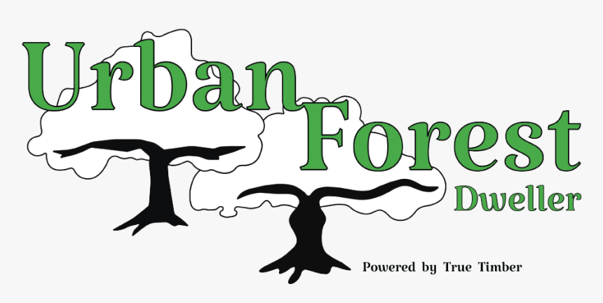 Urban Forest Dweller, HD Png Download