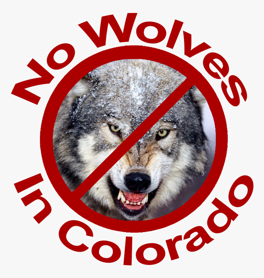 No Wolves In Colorado Red Lettering - Dog Yawns, HD Png Download