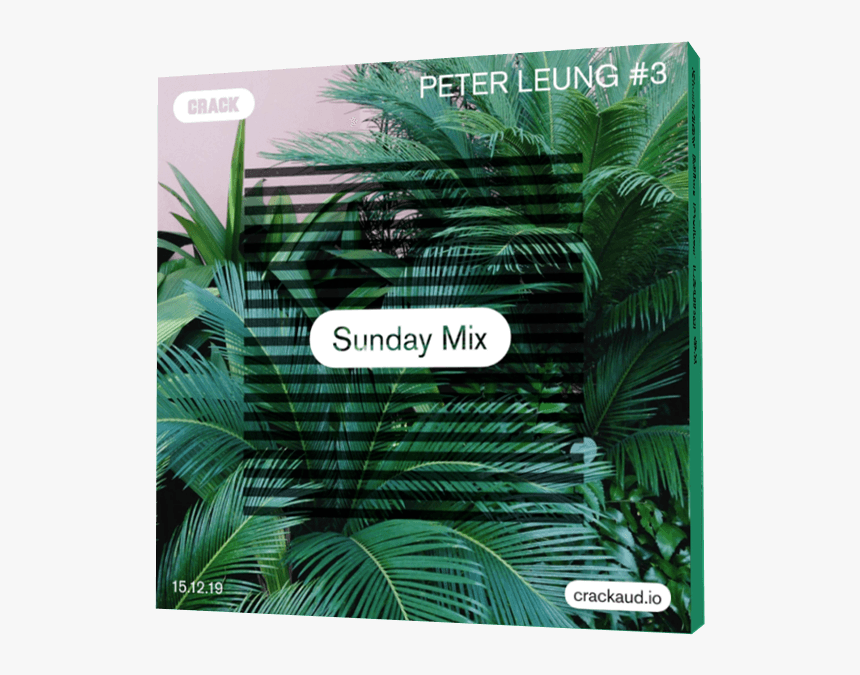 Attalea Speciosa, HD Png Download