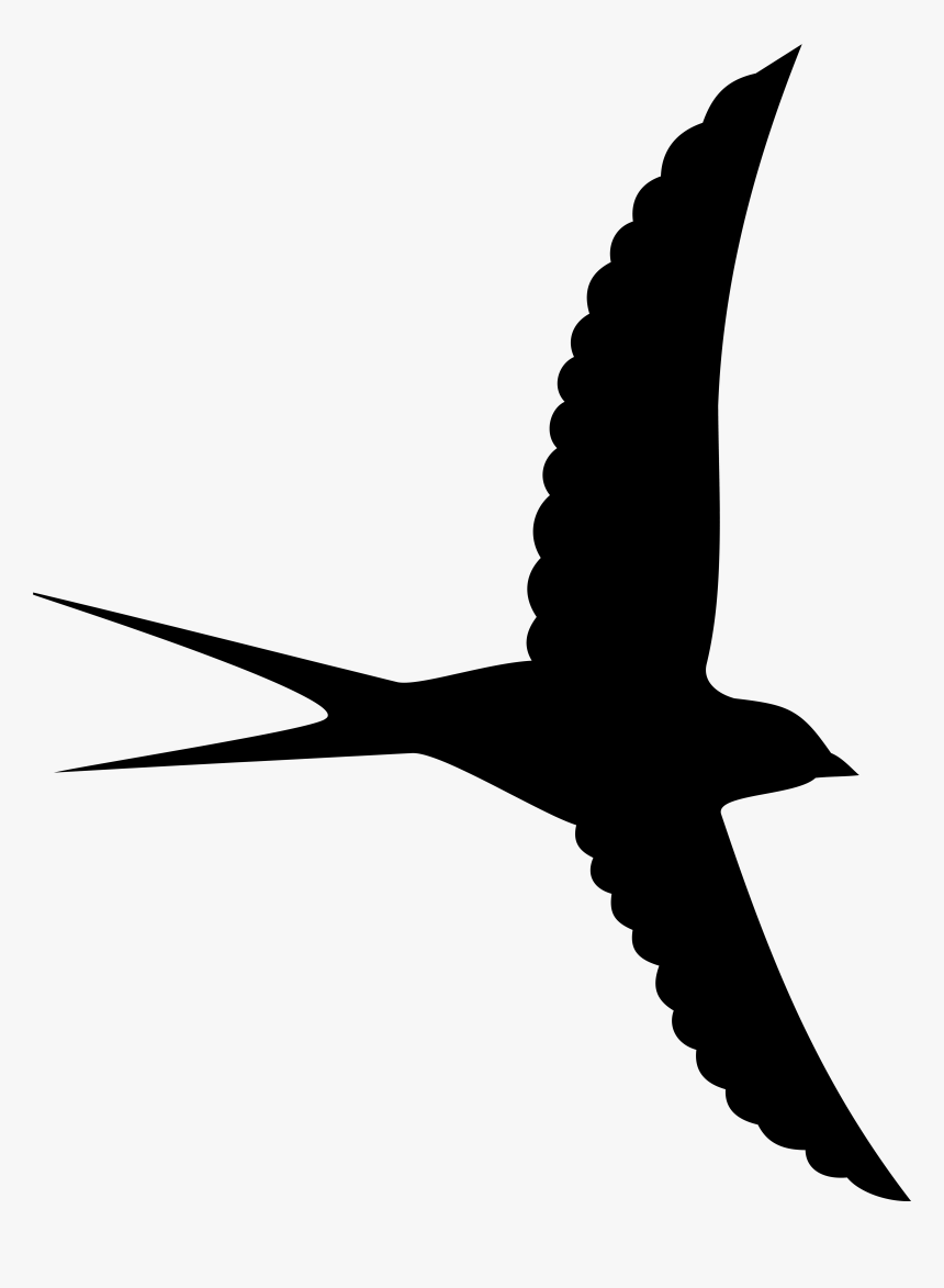 Bird Silhouette Png Clipart Image Transparent Png , - Bird Silhouette Transparent Background, Png Download