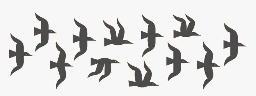 Hero Image - Flock, HD Png Download