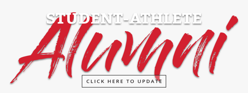 Transparent 2019 Softball Team Accounts, HD Png Download