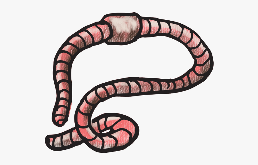 Earthworm - Serpent, HD Png Download