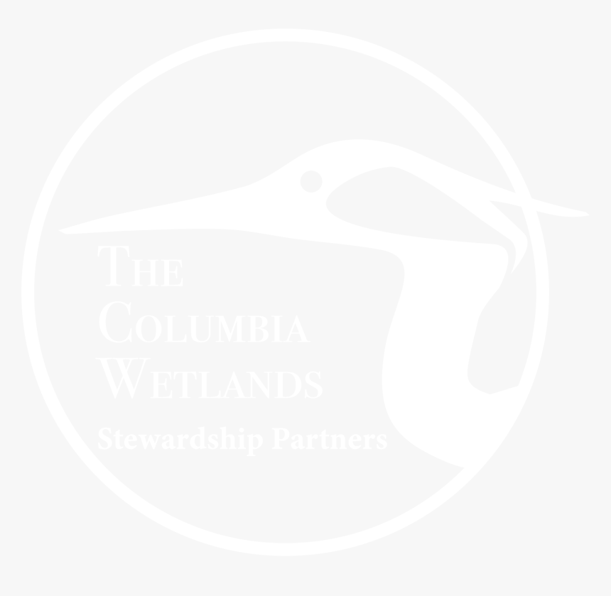 Columbia Wetlands Stewardship Partners - Ciconiiformes, HD Png Download