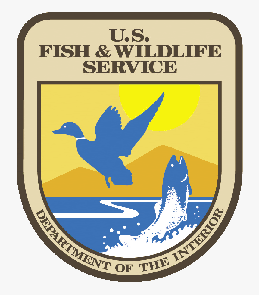 Usfws - Us Endangered Species Act, HD Png Download