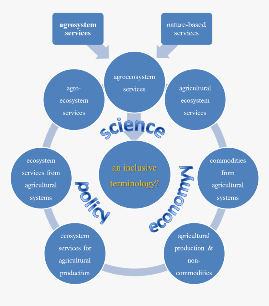 Scope Of Management Accounting, HD Png Download
