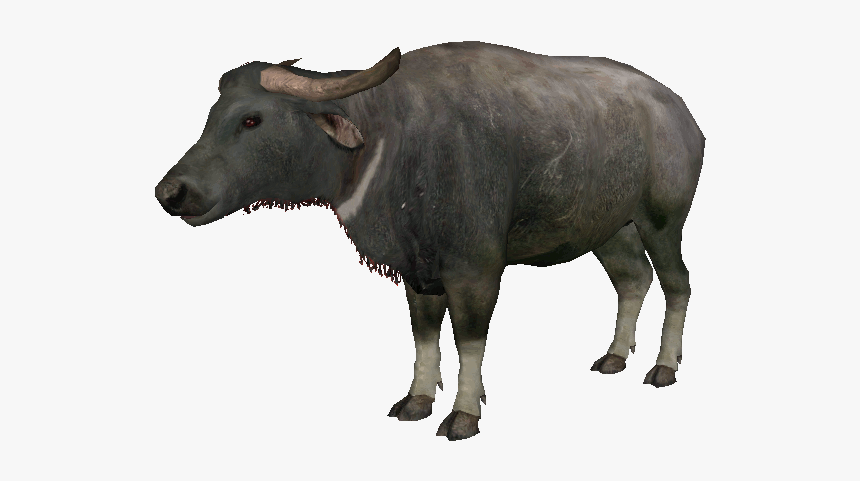 Welcome To Ideas Wiki - Water Buffalo, HD Png Download