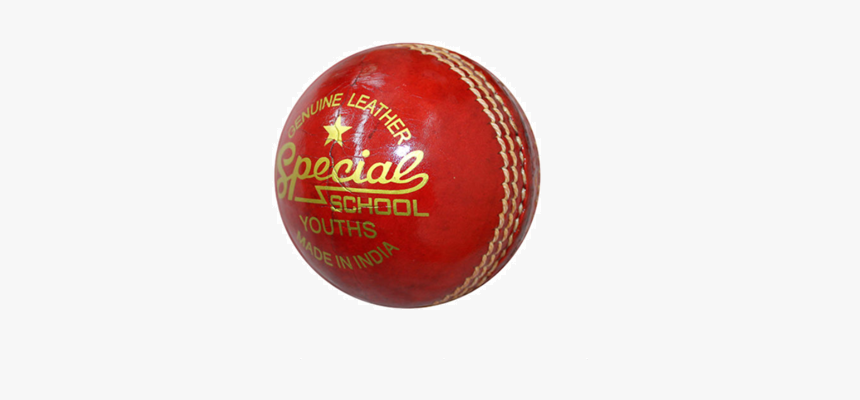 Cricket, HD Png Download