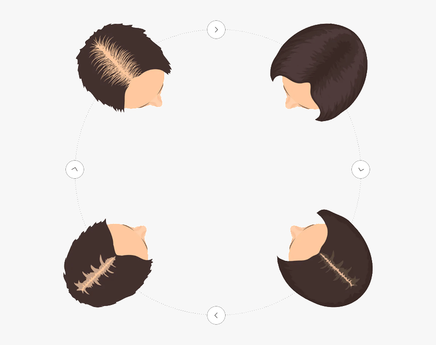 Top View Of Hair Drawing, HD Png Download