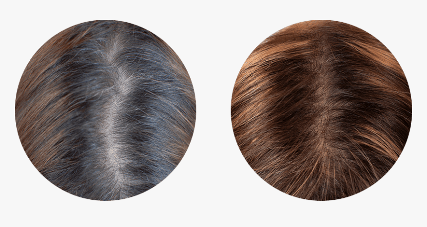 Lace Wig, HD Png Download