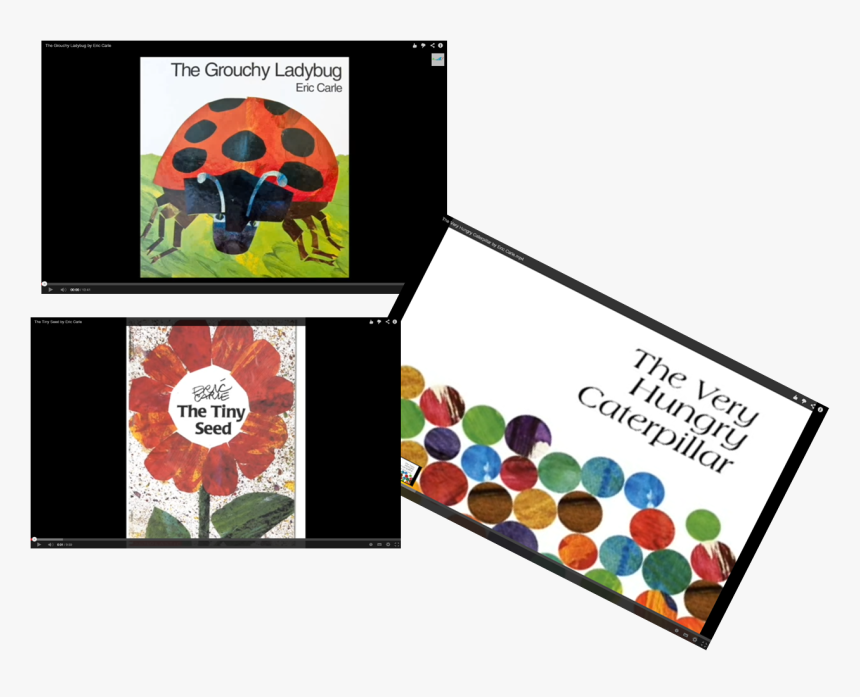 Ladybug, HD Png Download