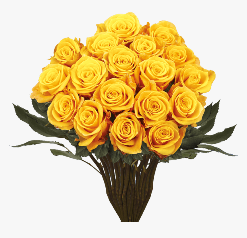 Floribunda, HD Png Download