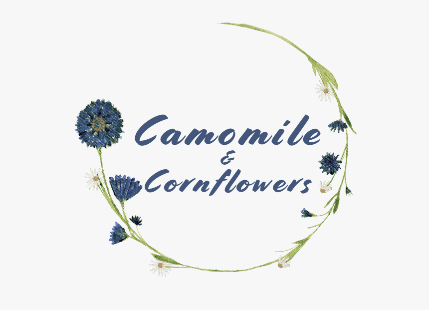 Camomile & Cornflowers - Chrysanths, HD Png Download