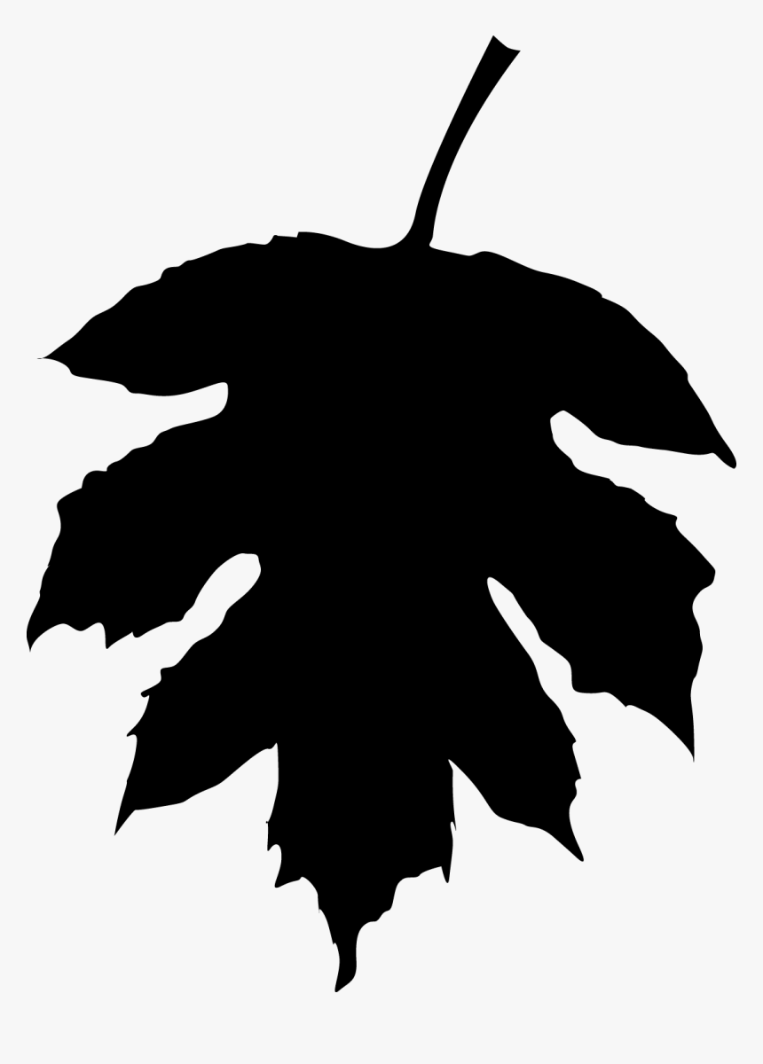 Fall Leaf Silhouette Png, Transparent Png