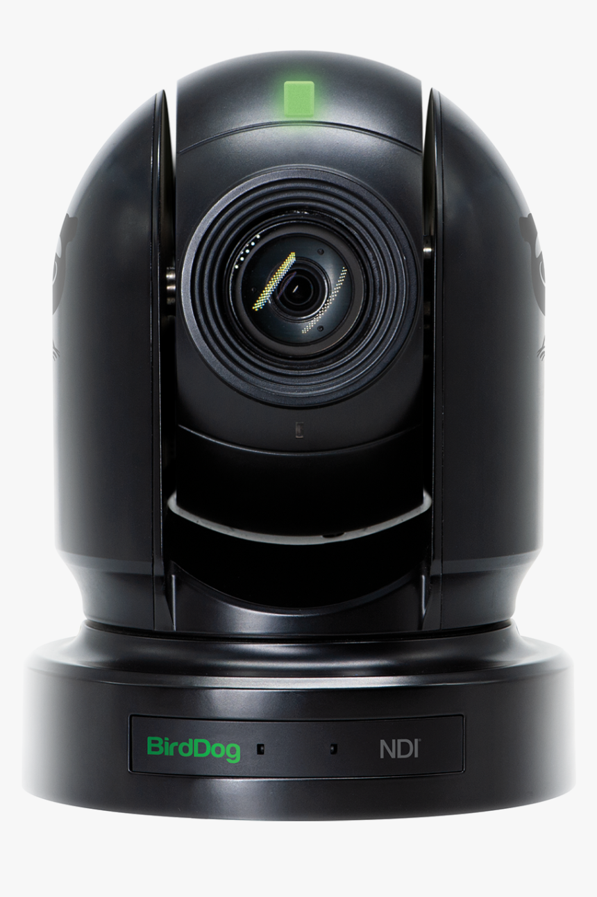 Bird Dog P200, HD Png Download