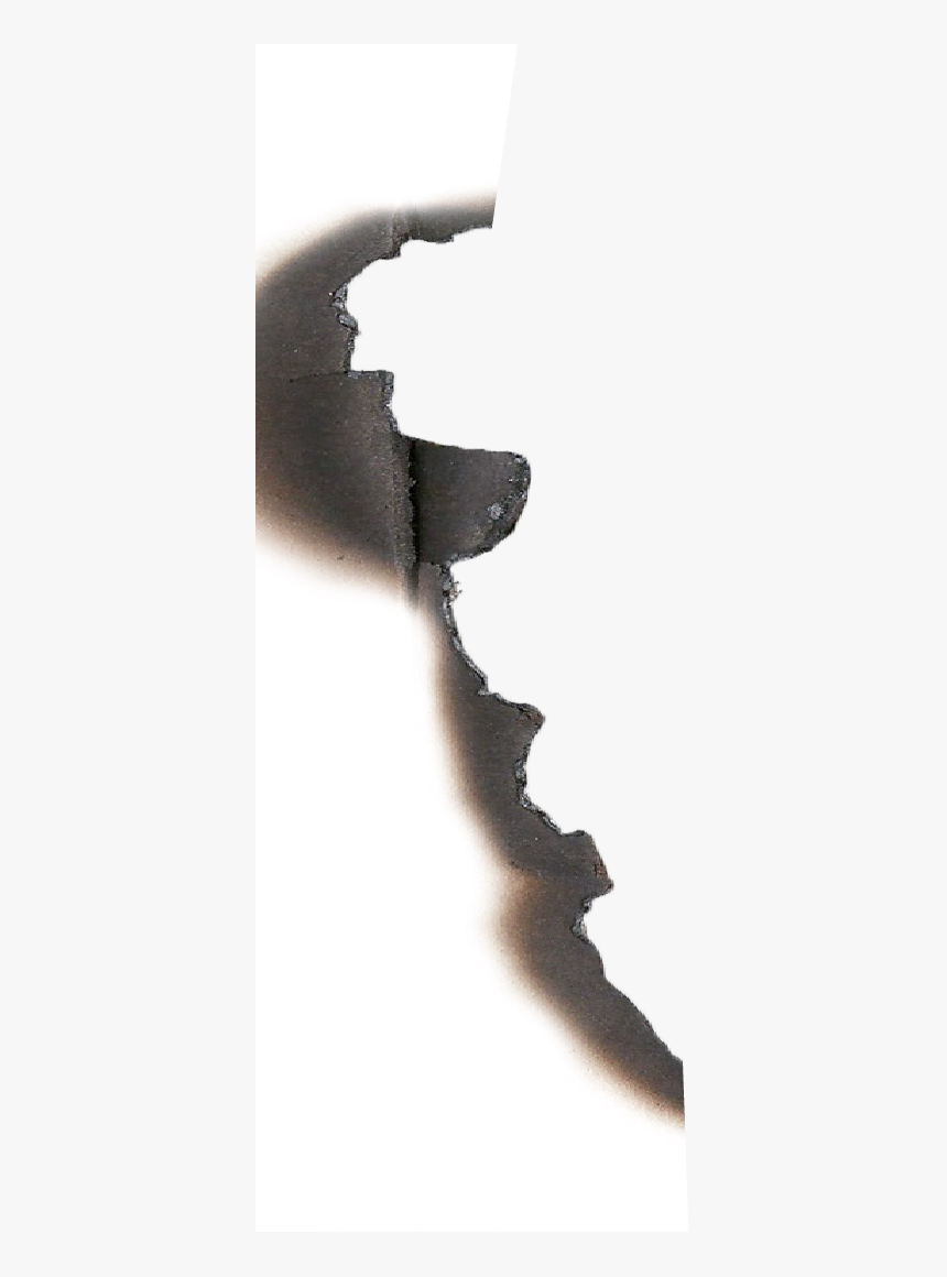 Sketch, HD Png Download