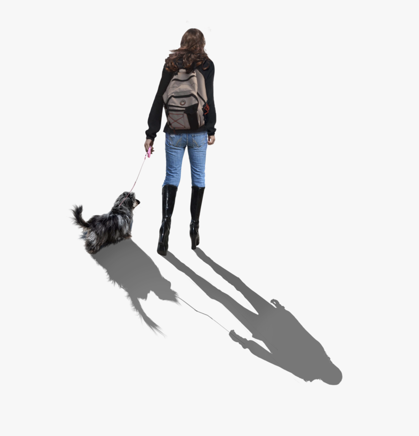 Walking Dog Png - Companion Dog, Transparent Png