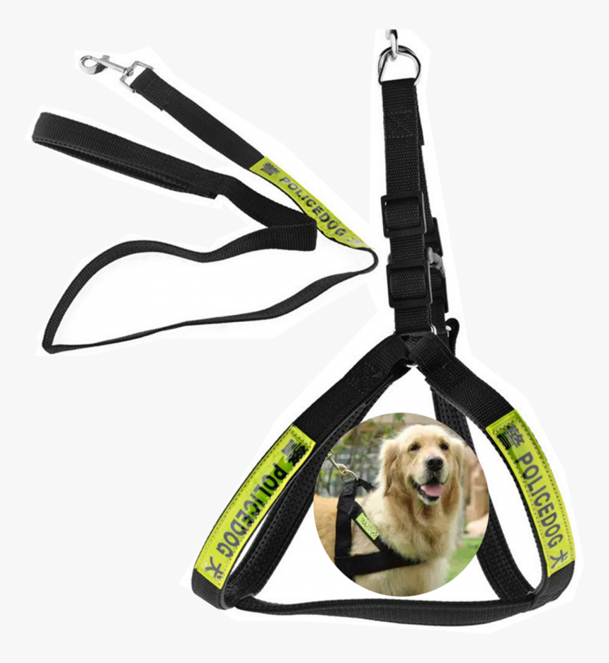 Police Dog Dog Rope, HD Png Download