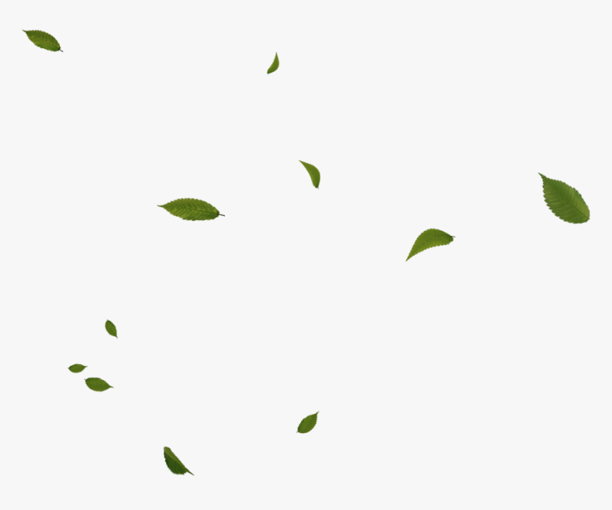 Floating Green Leaves Png , Png Download - Green Effects Png, Transparent Png