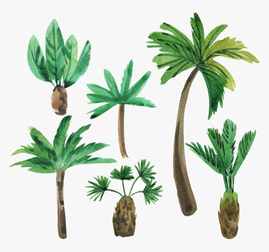 Pegatinas De Pared De Palmeras, HD Png Download