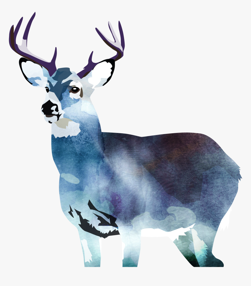 Elk, HD Png Download