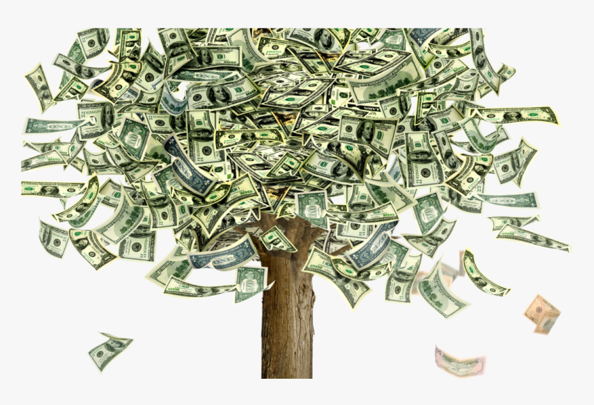 Grant Application System Is ‘broken’, Report Warns - Money Growth, HD Png Download