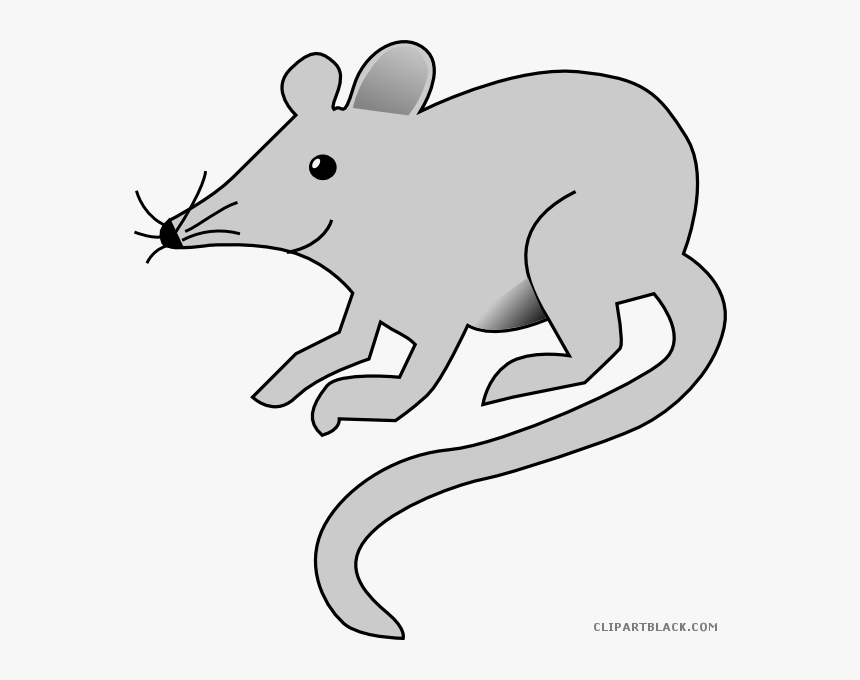 Gray Clipartblack Com Free Black White Images - Clipart Image Of Rat, HD Png Download