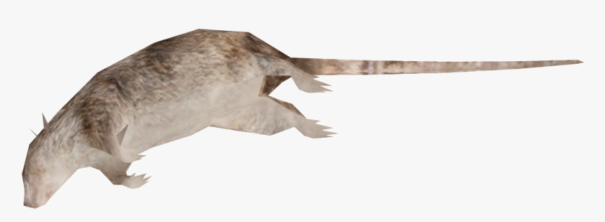 Dead Rat Png - Dead Rat Transparent Background, Png Download