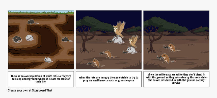 Cartoon, HD Png Download