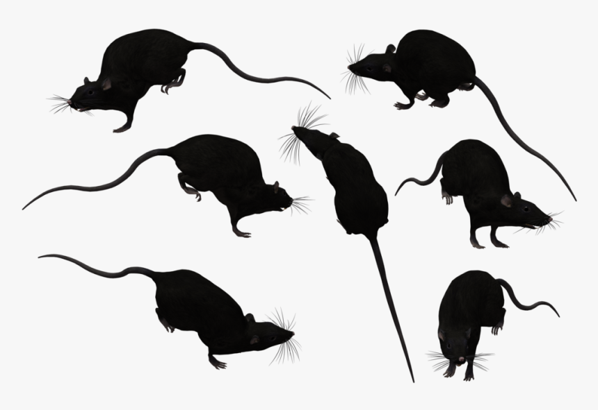 Rat Silhouette Png - Portable Network Graphics, Transparent Png