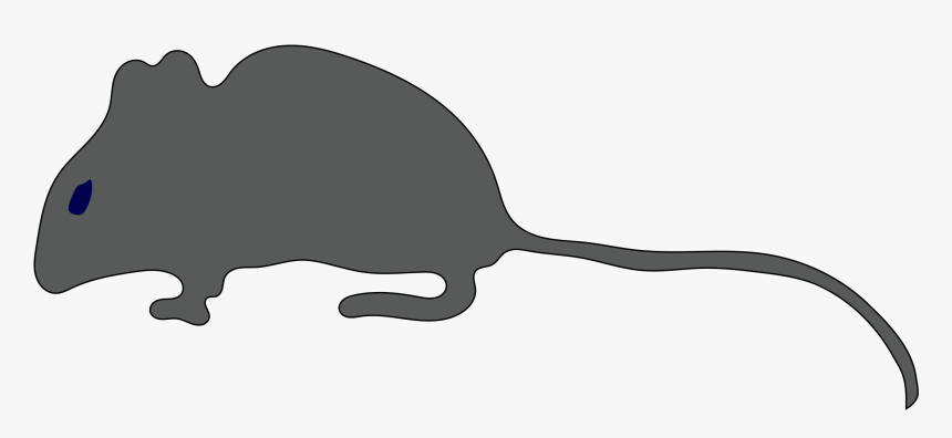 Rat Mouse Silhouette Tail Clip Art - Clip Art, HD Png Download