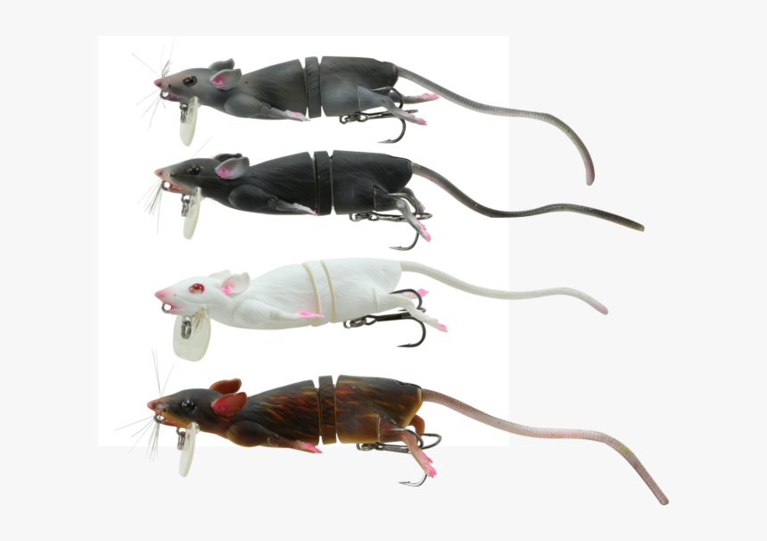 Picture 1 Of - Savage Gear 3d Mouse, HD Png Download