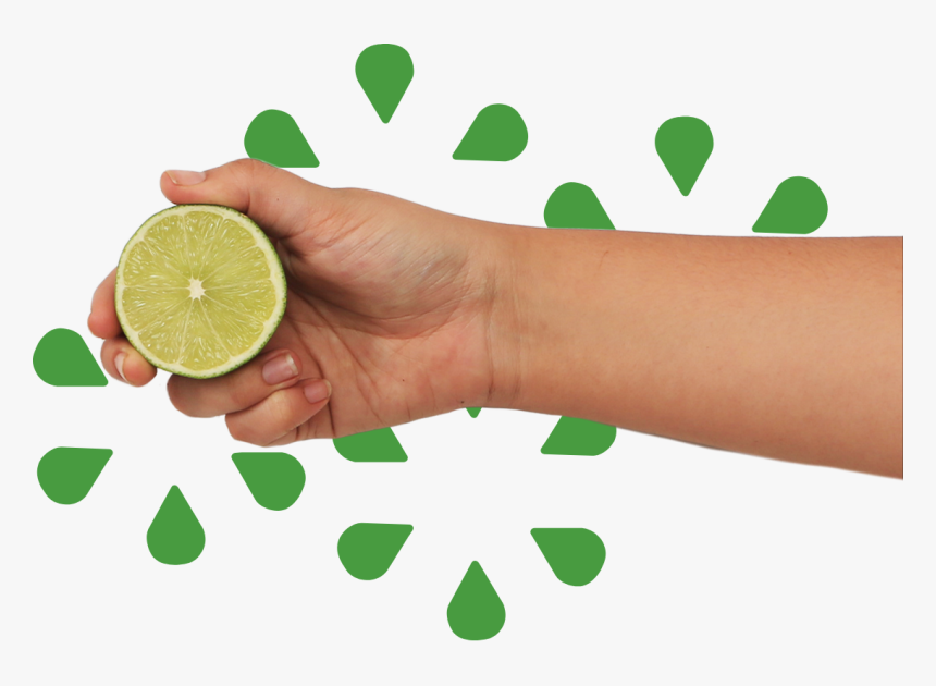 Key Lime, HD Png Download