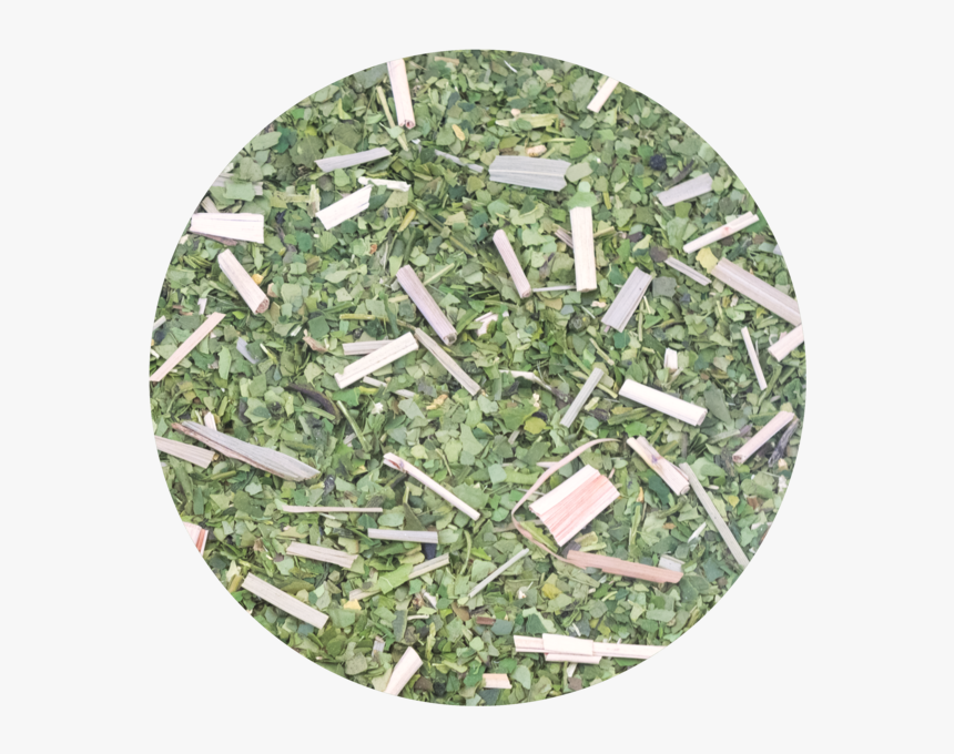 Grass, HD Png Download