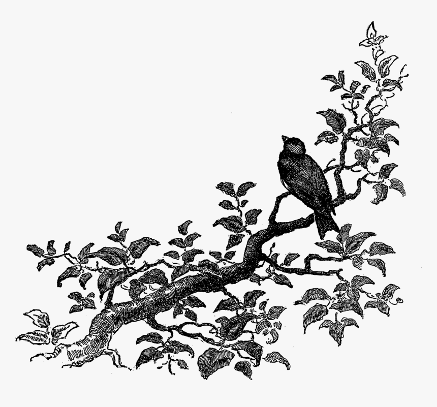 Corner Design Png Wwwimgkidcom The Image Kid Has It - Art Corner Design Png, Transparent Png