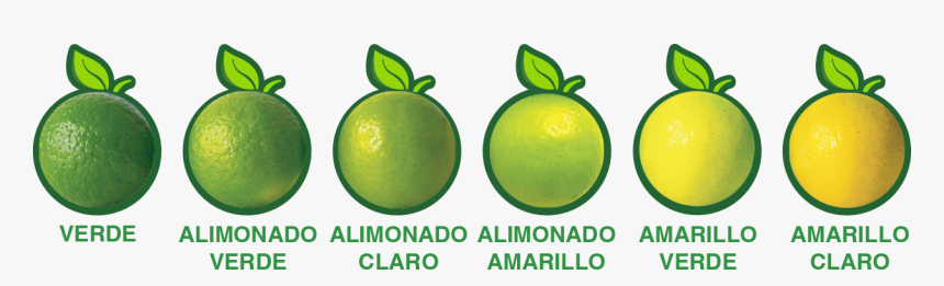 Lime, HD Png Download