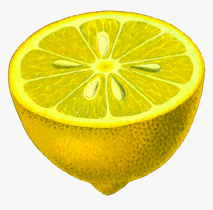 Lemon Half Clipart, HD Png Download