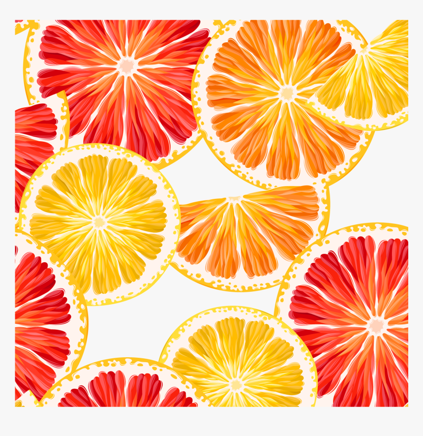 Grapefruit, Lemon Clipart, Orange, Lemon Slice, Vector - Grapefruit Background, HD Png Download