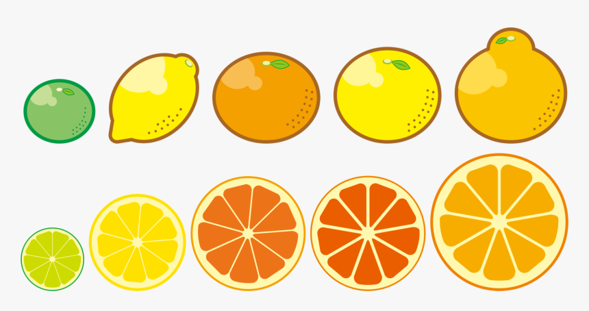 Plant,vegetarian Food,lemon - Citrus Trees Clip Art, HD Png Download