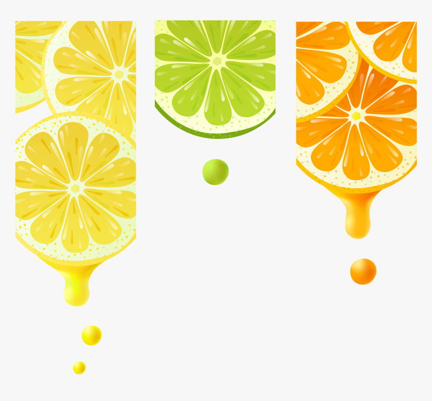 Vector Splashes Lemon - Rangpur, HD Png Download