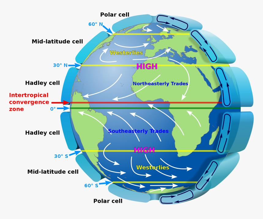 Prevailing Winds New Zealand, HD Png Download